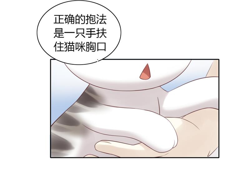 猫爪之下韩漫全集-第54话 做你的英雄无删减无遮挡章节图片 