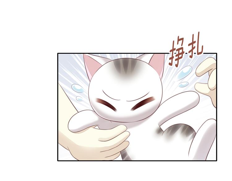 猫爪之下韩漫全集-第54话 做你的英雄无删减无遮挡章节图片 