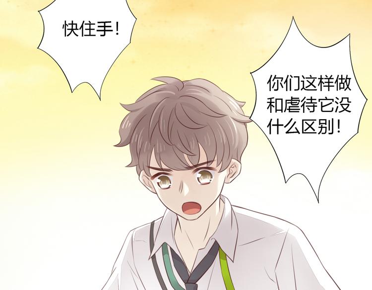 猫爪之下韩漫全集-第54话 做你的英雄无删减无遮挡章节图片 