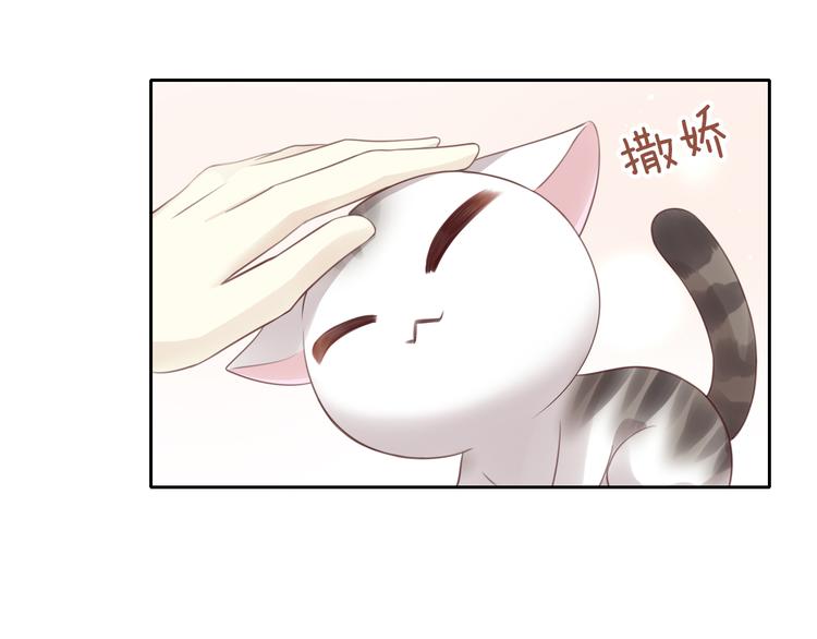 猫爪之下韩漫全集-第54话 做你的英雄无删减无遮挡章节图片 