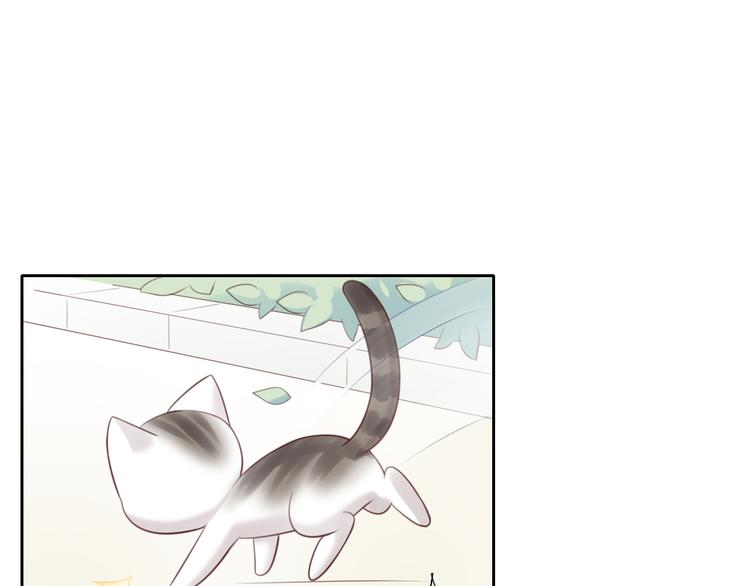 猫爪之下韩漫全集-第54话 做你的英雄无删减无遮挡章节图片 