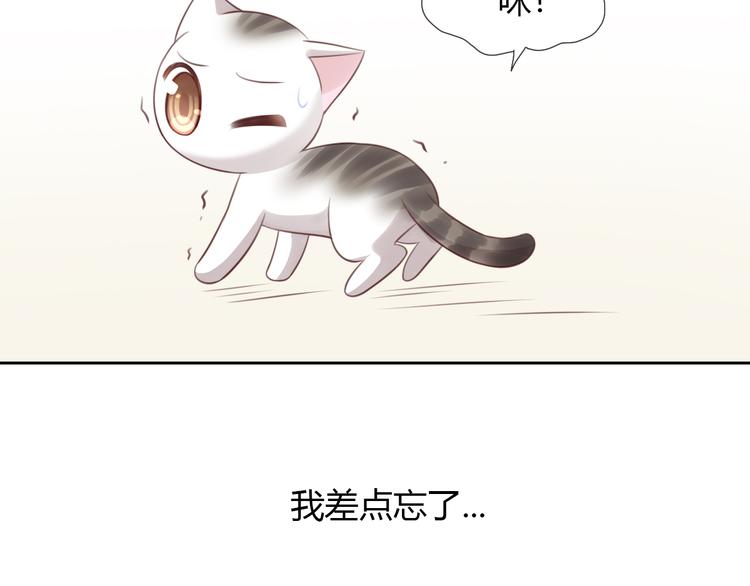 猫爪之下韩漫全集-第54话 做你的英雄无删减无遮挡章节图片 