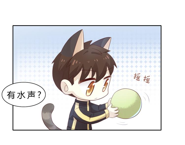 猫爪之下韩漫全集-第56话 照片无删减无遮挡章节图片 
