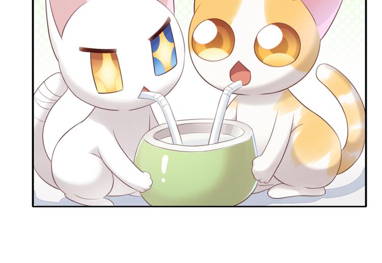猫爪之下韩漫全集-第56话 照片无删减无遮挡章节图片 