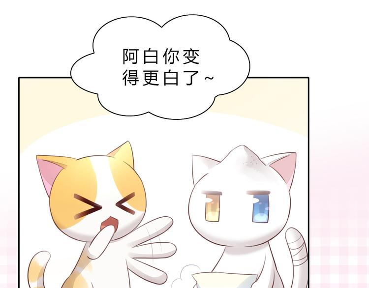 猫爪之下韩漫全集-第56话 照片无删减无遮挡章节图片 