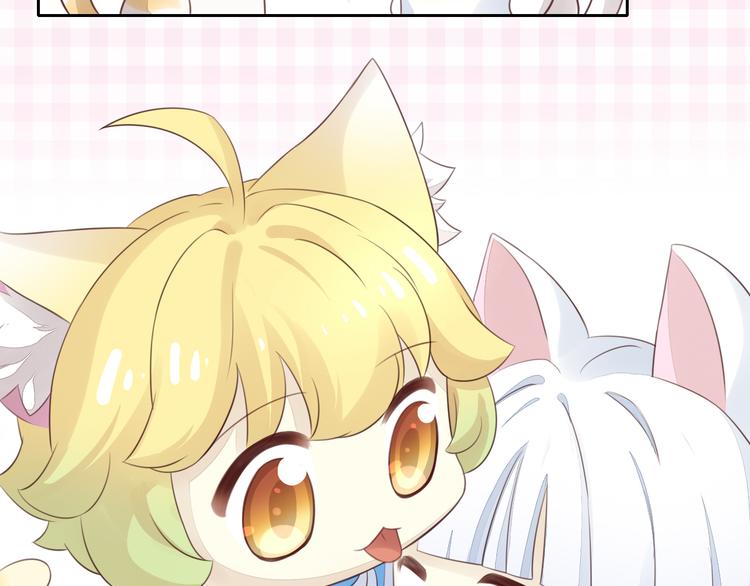 猫爪之下韩漫全集-第56话 照片无删减无遮挡章节图片 