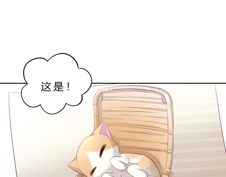 猫爪之下韩漫全集-第56话 照片无删减无遮挡章节图片 