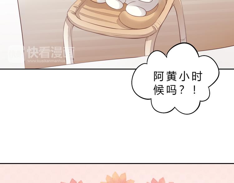 猫爪之下韩漫全集-第56话 照片无删减无遮挡章节图片 