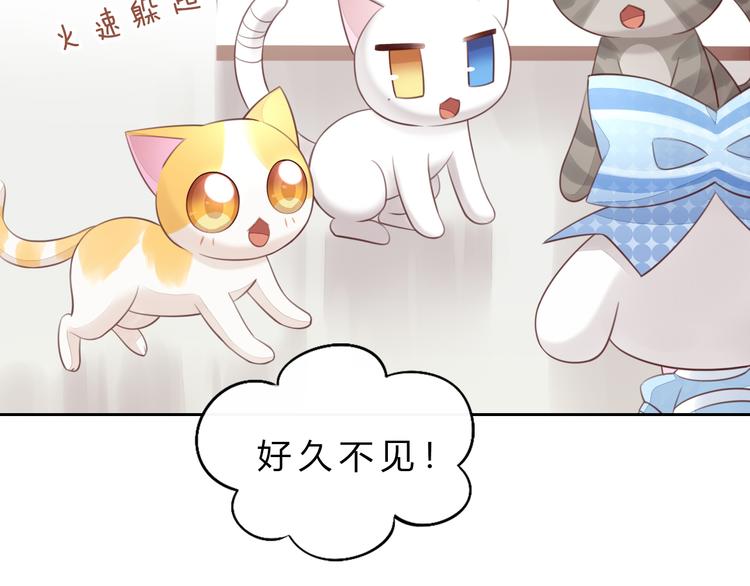 猫爪之下韩漫全集-第56话 照片无删减无遮挡章节图片 