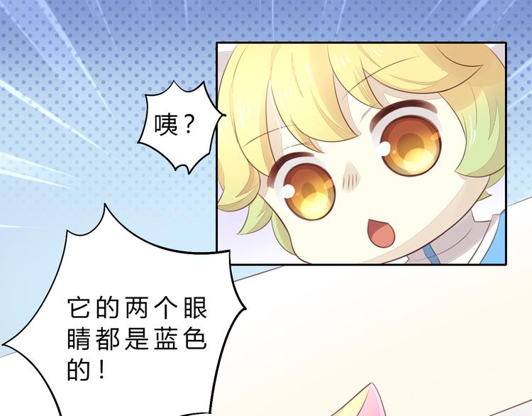 猫爪之下韩漫全集-第56话 照片无删减无遮挡章节图片 