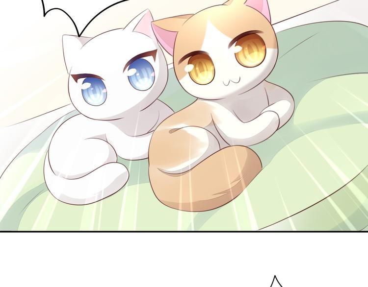 猫爪之下韩漫全集-第56话 照片无删减无遮挡章节图片 