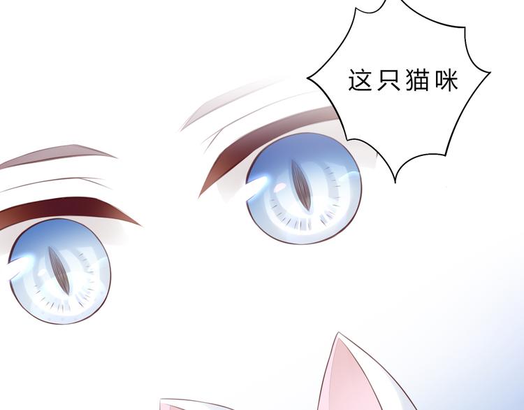 猫爪之下韩漫全集-第56话 照片无删减无遮挡章节图片 