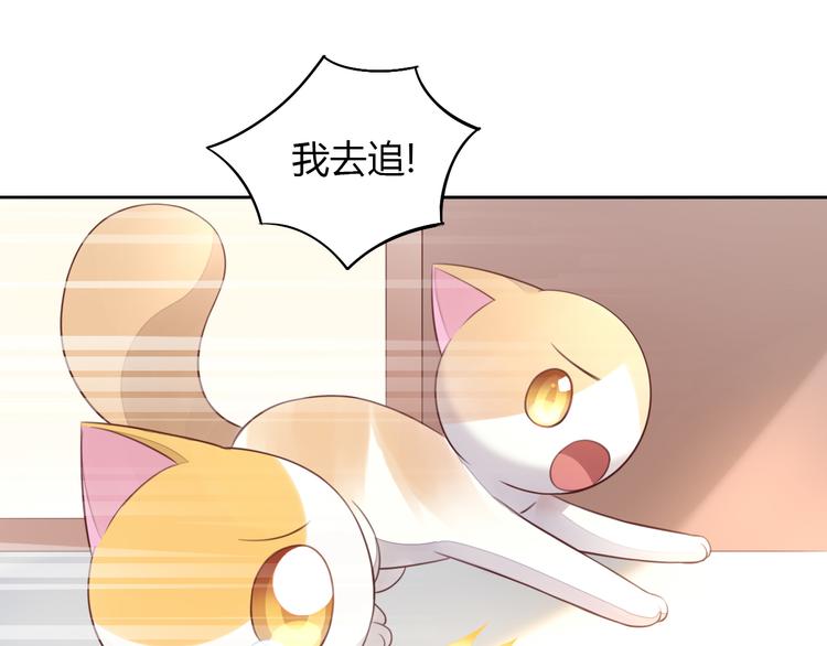 猫爪之下韩漫全集-第58话 你不像他无删减无遮挡章节图片 