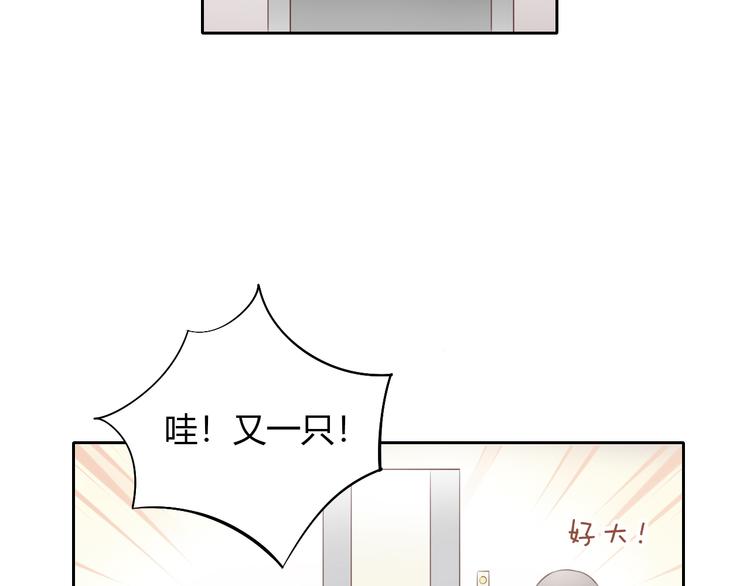 猫爪之下韩漫全集-第58话 你不像他无删减无遮挡章节图片 