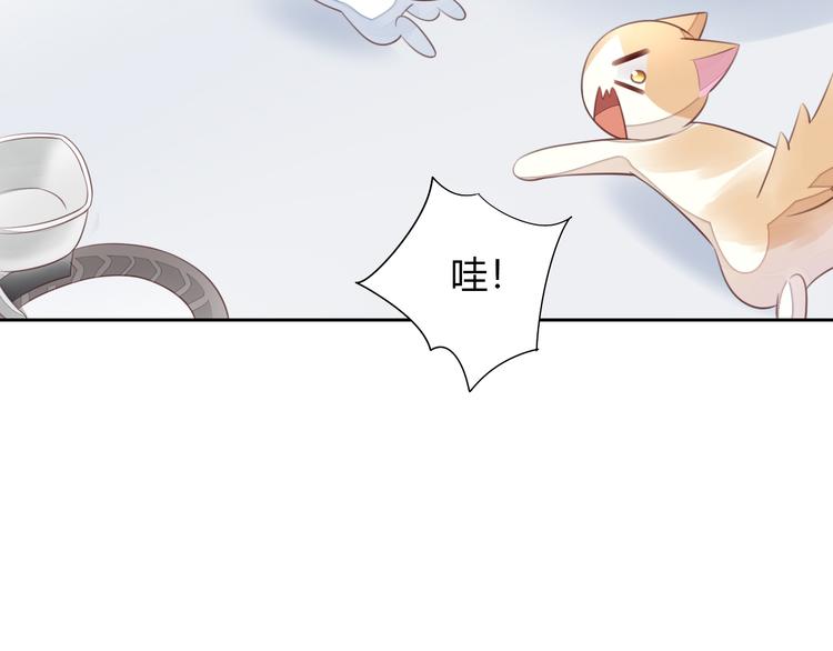 猫爪之下韩漫全集-第58话 你不像他无删减无遮挡章节图片 