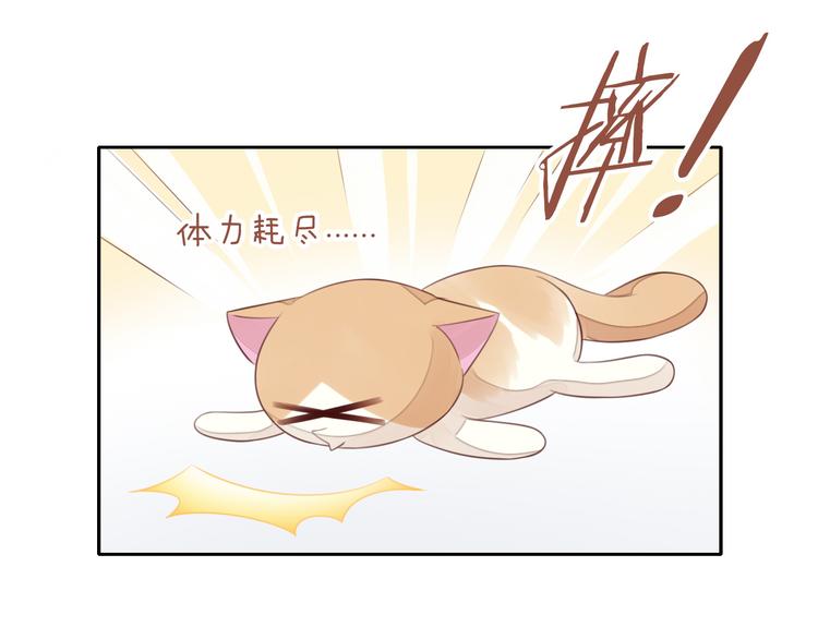猫爪之下韩漫全集-第58话 你不像他无删减无遮挡章节图片 