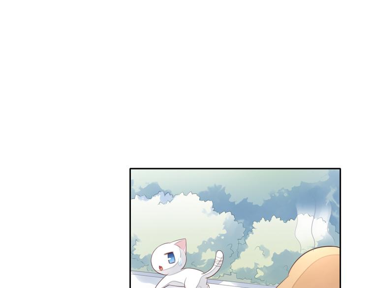 猫爪之下韩漫全集-第58话 你不像他无删减无遮挡章节图片 