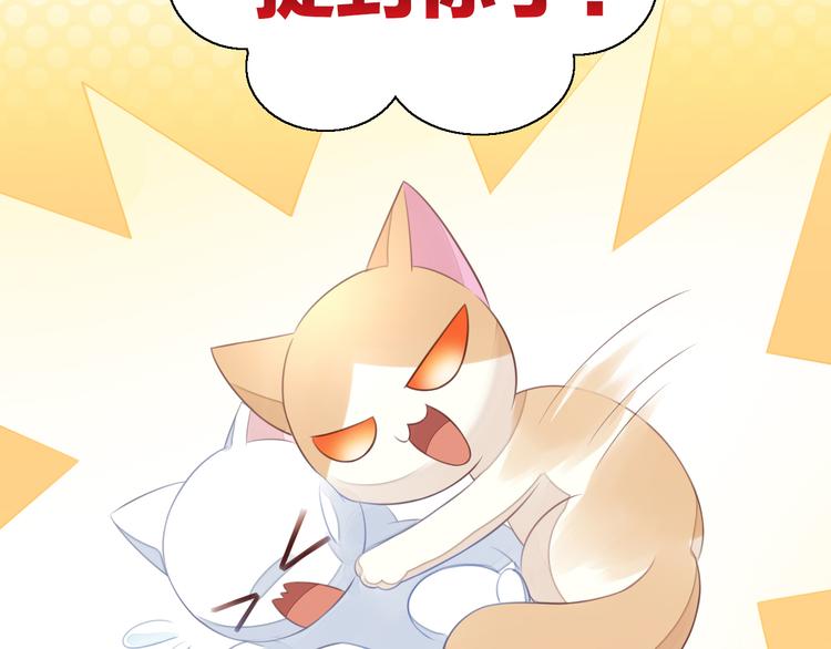 猫爪之下韩漫全集-第58话 你不像他无删减无遮挡章节图片 