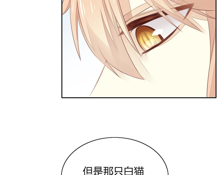 猫爪之下韩漫全集-第58话 你不像他无删减无遮挡章节图片 