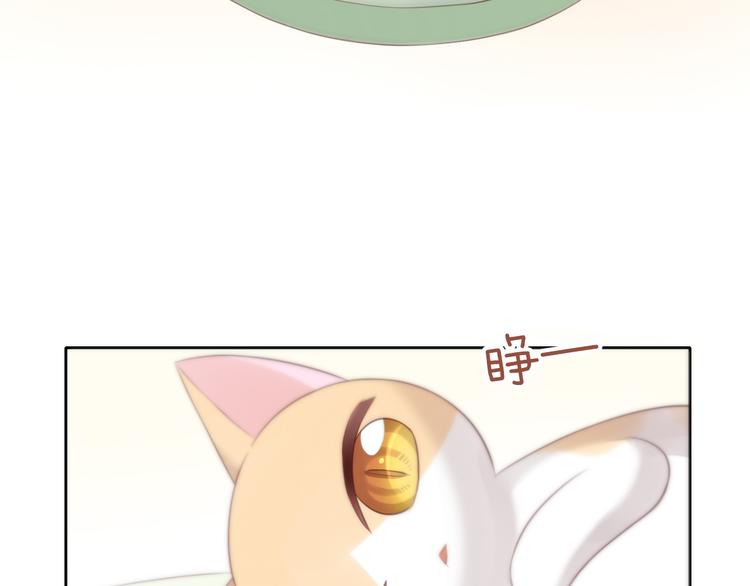 猫爪之下韩漫全集-第58话 你不像他无删减无遮挡章节图片 