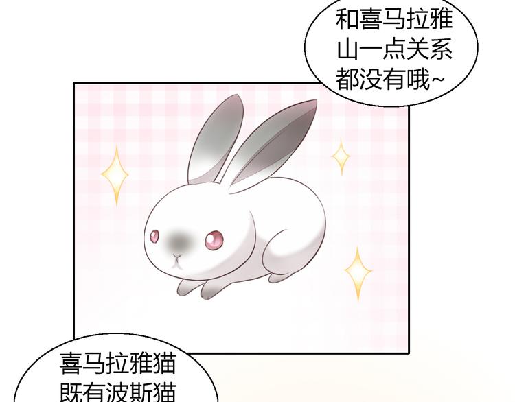 猫爪之下韩漫全集-第59话 我们的相遇无删减无遮挡章节图片 