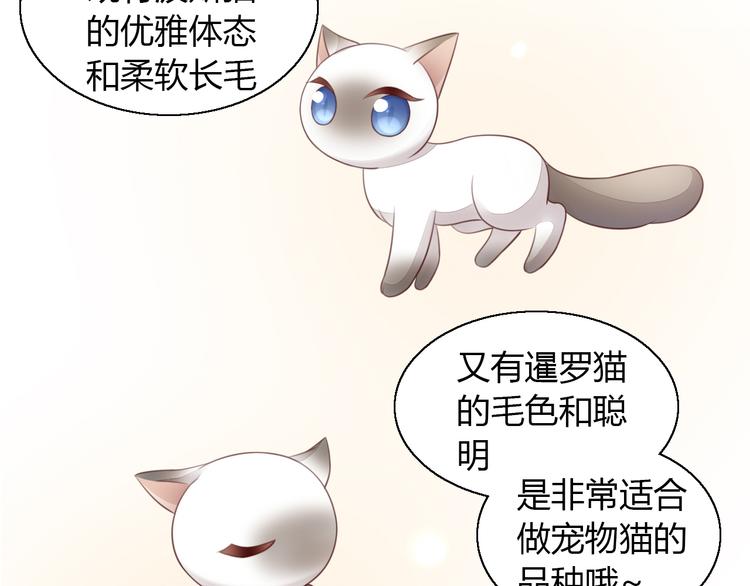 猫爪之下韩漫全集-第59话 我们的相遇无删减无遮挡章节图片 