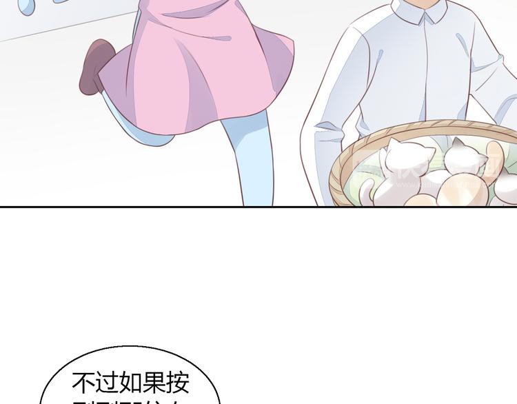 猫爪之下韩漫全集-第59话 我们的相遇无删减无遮挡章节图片 