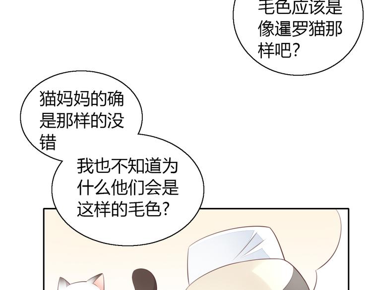 猫爪之下韩漫全集-第59话 我们的相遇无删减无遮挡章节图片 