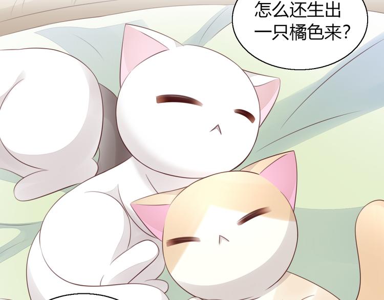 猫爪之下韩漫全集-第59话 我们的相遇无删减无遮挡章节图片 
