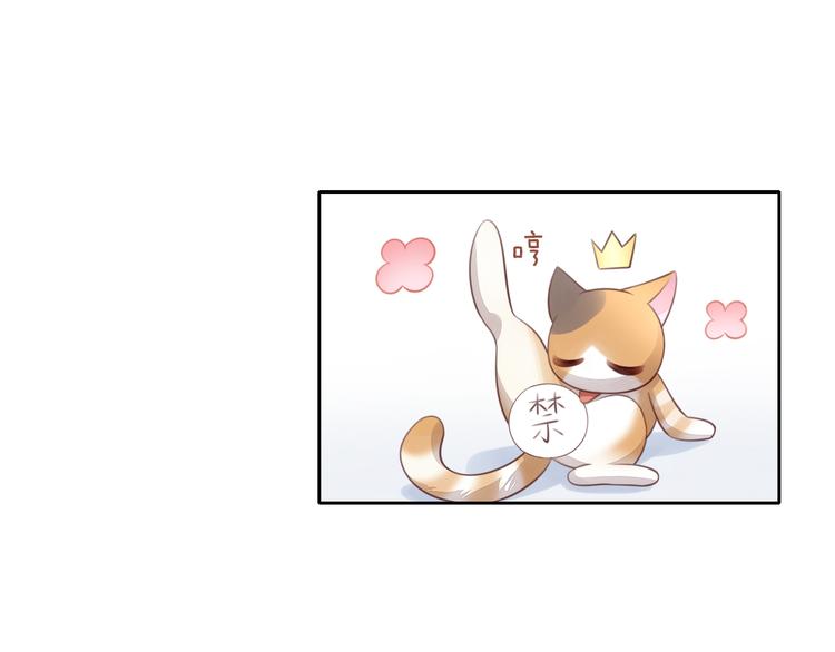 猫爪之下韩漫全集-第59话 我们的相遇无删减无遮挡章节图片 