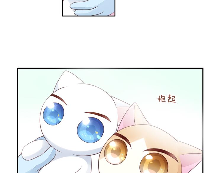 猫爪之下韩漫全集-第59话 我们的相遇无删减无遮挡章节图片 