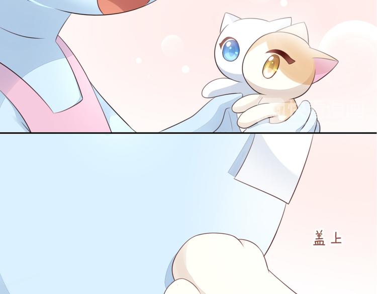 猫爪之下韩漫全集-第59话 我们的相遇无删减无遮挡章节图片 