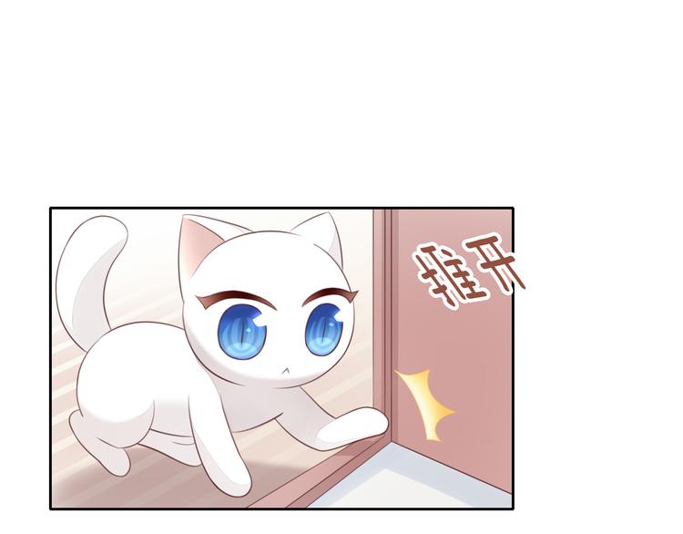 猫爪之下韩漫全集-第60话 英雄救美无删减无遮挡章节图片 