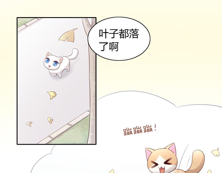 猫爪之下韩漫全集-第60话 英雄救美无删减无遮挡章节图片 