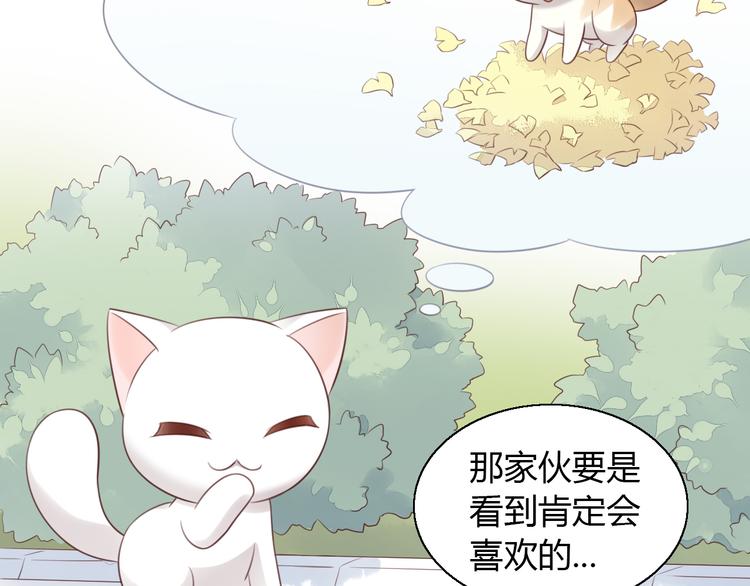 猫爪之下韩漫全集-第60话 英雄救美无删减无遮挡章节图片 
