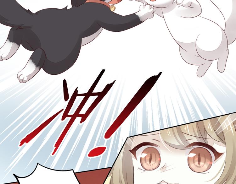 猫爪之下韩漫全集-第60话 英雄救美无删减无遮挡章节图片 