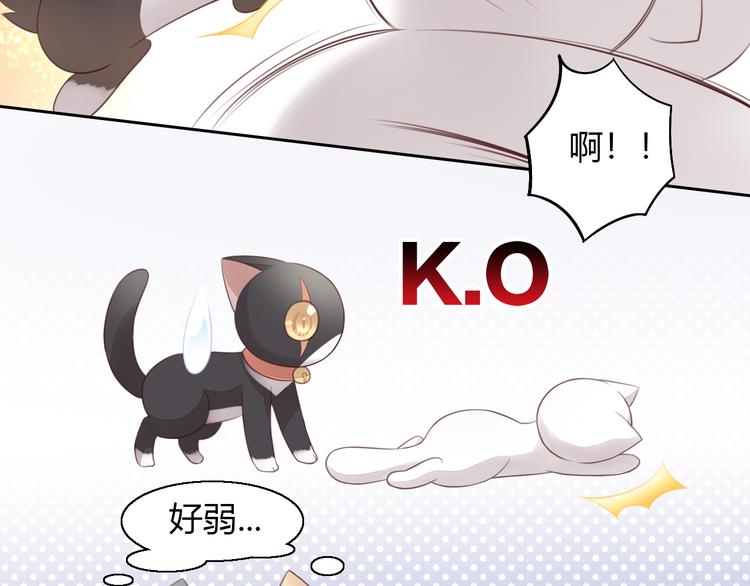 猫爪之下韩漫全集-第60话 英雄救美无删减无遮挡章节图片 