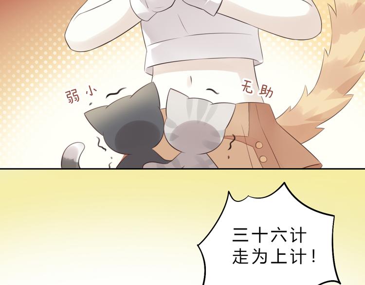 猫爪之下韩漫全集-第60话 英雄救美无删减无遮挡章节图片 