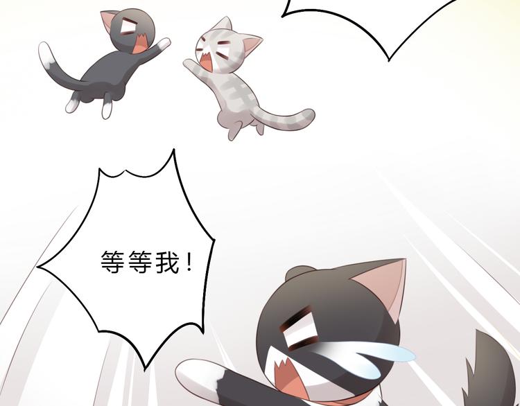 猫爪之下韩漫全集-第60话 英雄救美无删减无遮挡章节图片 