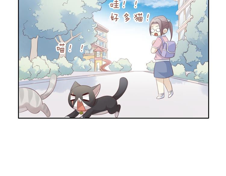 猫爪之下韩漫全集-第60话 英雄救美无删减无遮挡章节图片 