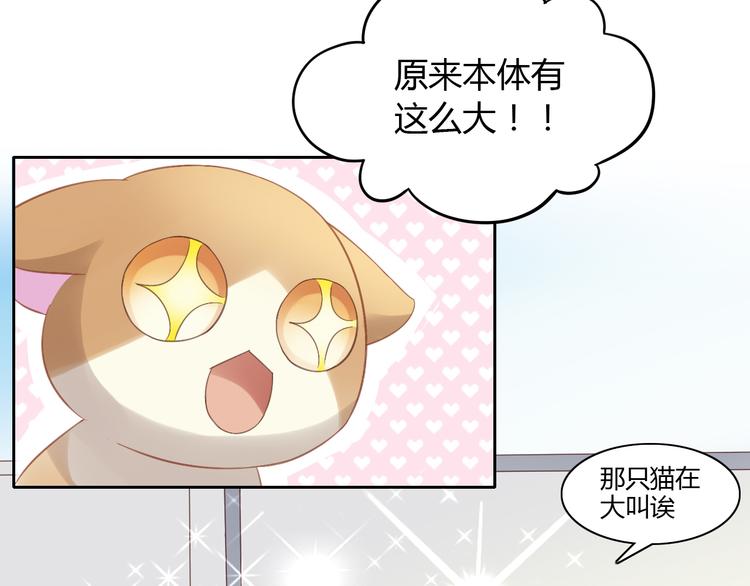 猫爪之下韩漫全集-第7话  外面的世界无删减无遮挡章节图片 