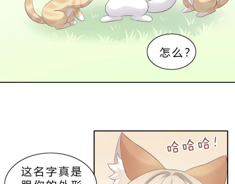 猫爪之下韩漫全集-第61话 合作无删减无遮挡章节图片 