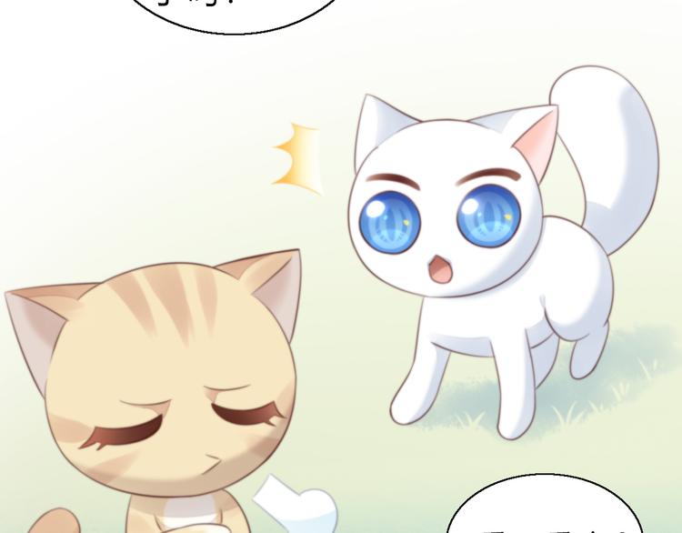 猫爪之下韩漫全集-第61话 合作无删减无遮挡章节图片 