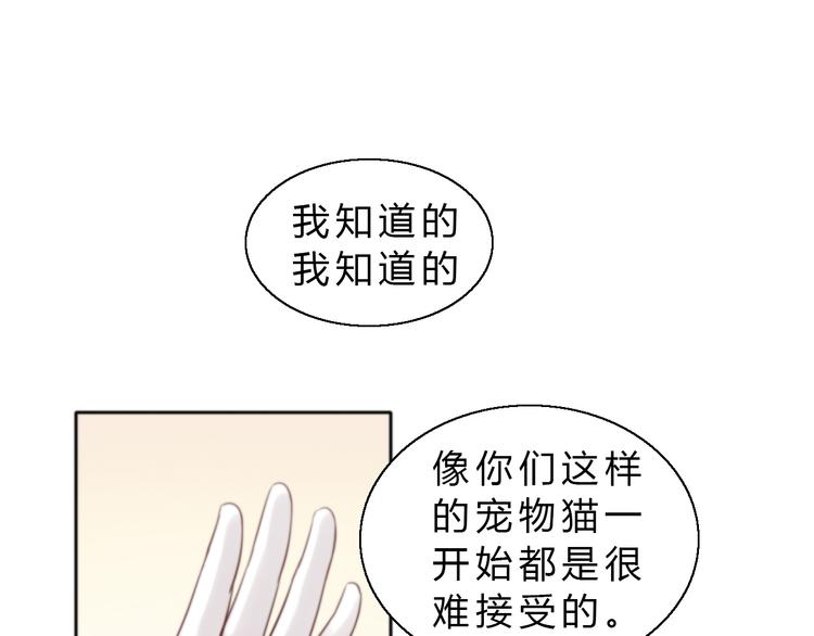 猫爪之下韩漫全集-第61话 合作无删减无遮挡章节图片 