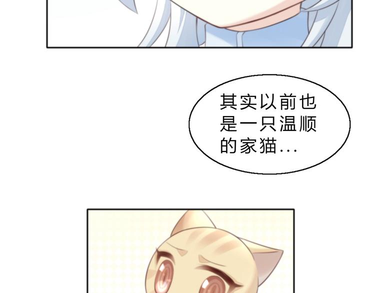 猫爪之下韩漫全集-第61话 合作无删减无遮挡章节图片 