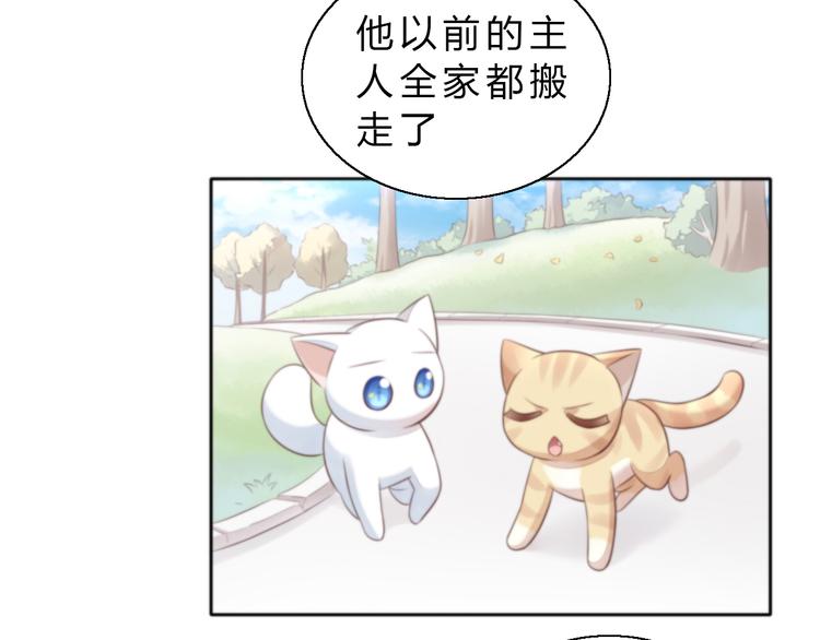 猫爪之下韩漫全集-第61话 合作无删减无遮挡章节图片 