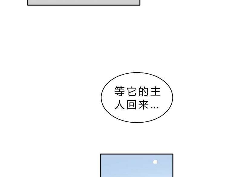 猫爪之下韩漫全集-第61话 合作无删减无遮挡章节图片 