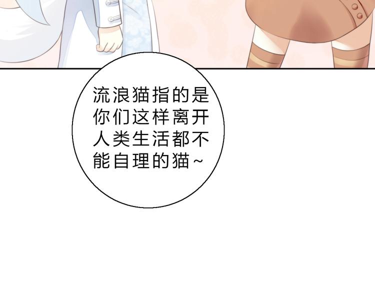 猫爪之下韩漫全集-第61话 合作无删减无遮挡章节图片 