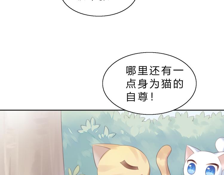 猫爪之下韩漫全集-第61话 合作无删减无遮挡章节图片 