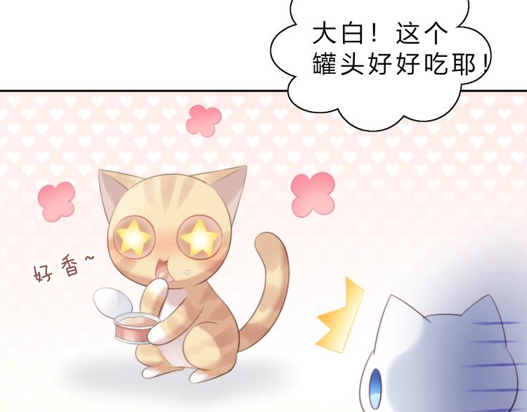 猫爪之下韩漫全集-第61话 合作无删减无遮挡章节图片 